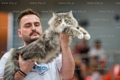 Hipodrom Sopot. Międzynarodoa Wystawa Kotow Rasowych...