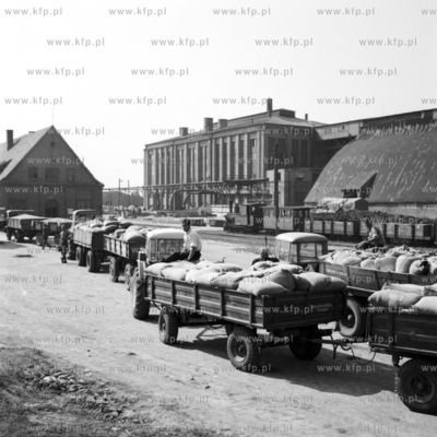 Kolejka rolnikow przed magazynem skupu zboza w Pelplinie.
07.09.1967
IIIwrzesien67_z.kosycarz_p8
Fot....