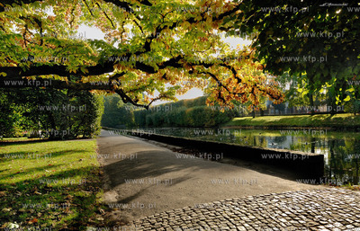 Gdansk Oliwa Park. Fragment parku z basenem parkowym.Poczatkiem...