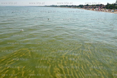 Sopot. Plaza. Zakaz kapieli w wodach Zatoki Gdanskiej...