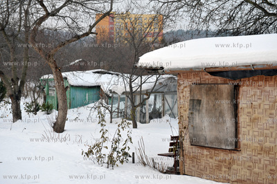Ogrodki dzialkowe na ul. Wita Stwosza w gdansku Oliwie.
06.01.2011
fot....