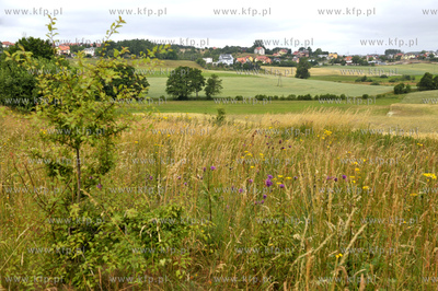 Gdansk Kieplino i Karczemki. 1.07.2011 Fot. Maciej...