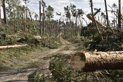 Skutki wichury na Pomorzu. Zniszczony przez wiatr las...