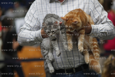 Sopot. Hala 100-lecia Sopotu. Miedzynarodowa Wystawa...