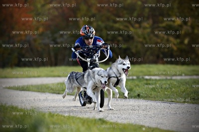 Gdańsk. Park Reagana. Pucharu Polski Psich Zaprzęgów...