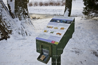 Gdańsk. Park Oruński. Pierwszy Kaczkomat, czyli ręczny...