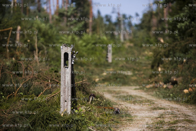 Skutki nawałnicy, która z piątku na sobotę przeszła...