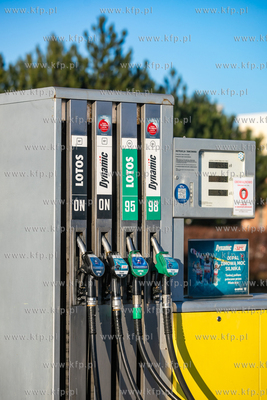 Konferencja prasowa Agnieszki Pomaski, Tadeusza Aziewicza...