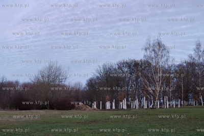 Park w Kolibkach. Ponad 100 drzewek przesadzonych z...