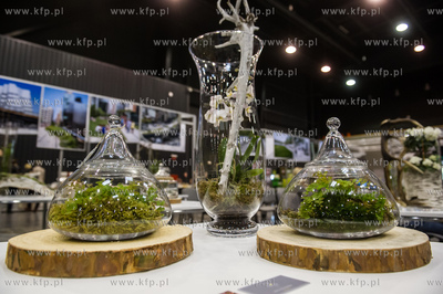 Miedzynarodowe Targi Gdanskie Amber Expo. Free Time...