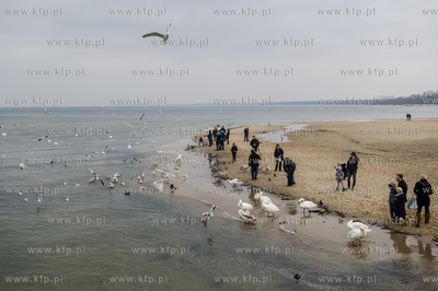 Sopot. Molo. Niedzielni spacerowicze, ktorych nie odstrasza...