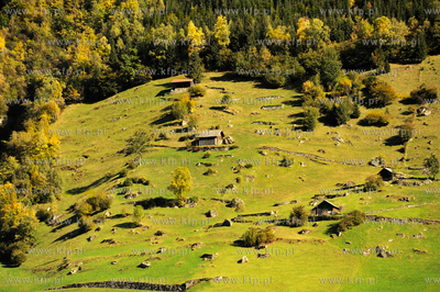 Szwajcaria, Guttannen, Berno. Jesienne Alpy w okolicy...