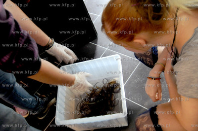 I ARTLOOP FESTIVAL w Sopocie.Zatoka Sztuka -  warsztaty...