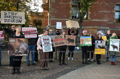 Siedziba Rady Miasta Gdańska. Protest aktywistów...