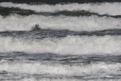 Zatoka Gdanska. Sztorm.
13.10.2009
fot. Krzysztof...