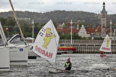 Sopot. Marina. Symboliczna wymiana desek snowboardowej...