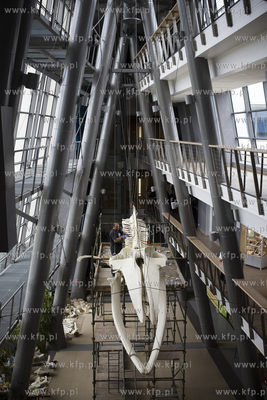 Wydział Biologii Uniwersytetu Gdańskiego. Montaż...