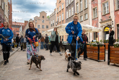 Święto Ulicy Ogarnej, podczas którego, w ramach...