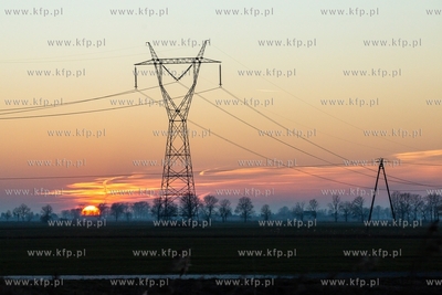 Żuławy Gdańske. 16.02.2019 / Fot. Anna Rezulak /...