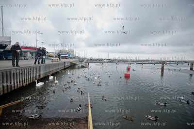 Gdynia. Niedzielne, wielkanocne popoludnie w porcie...