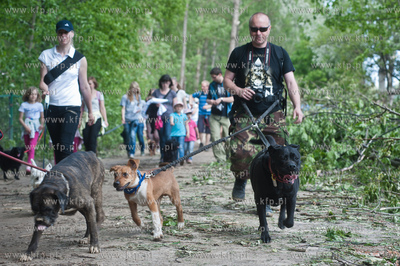 Gdynia Kolibki. Adventure Park. Festyn Edukacyjny pt....