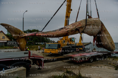 Port Wojenny na Helu. Akcja podnoszenia i transportu,...