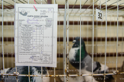 Zespol Szkol Rolniczych w Rusocinie. Wystawa Golebi...