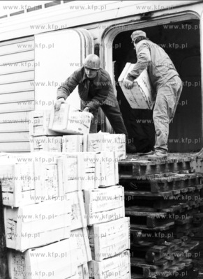 Rozladunek owocow cytrusowych w Porcie Gdanskim przed...