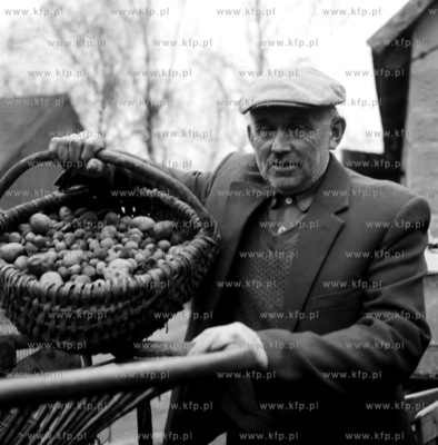 Rolnik z koszem ziemniankow, prawdopodobnie w Sierakowicach...