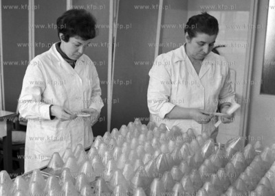 Kontrola w Wojewódzkiej Stacji Oceny Nasion przy ulicy...