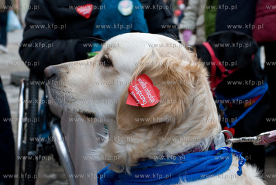 Gdansk. Dlugi Targ. XVII Final WOSP. 
11.01.2009
fot....
