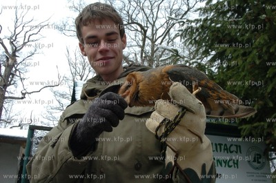 Technikum Lesne w Warcinie woj. pomorskie. Ptaszarnia,...