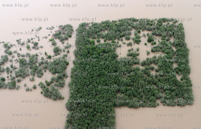 Pomorze. Przekroczony stan alarmowy wody w Wisle, spowodowany...