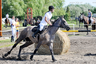 Stadnina koni MORINA w Redzie/Wejherowa. Towarzyskie...