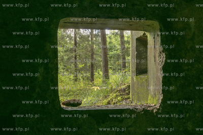 Fortyfikacje Trójkąta Lidzbarskiego ( niem. Heilsberg...