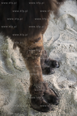 Warzno, wieś kaszubska położona w w województwie...