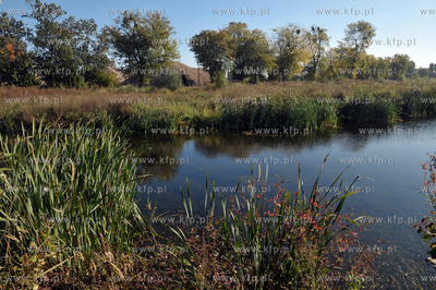 Porosniete sitowiem zbiorniki wodne, brzegi z niedostepnymi...
