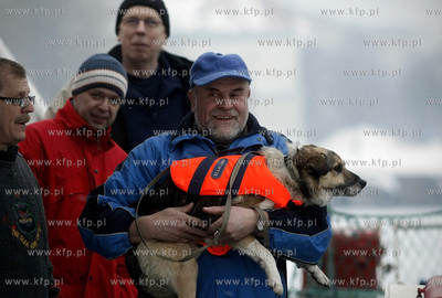 Gdynia. Pies uratowany na Zatoce Gdanskiej z plywajacej...