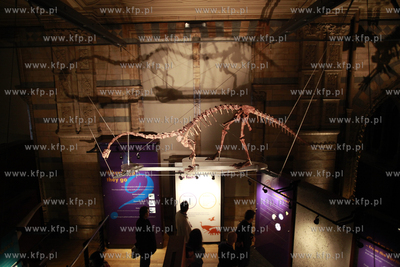 Londyn. Muzeum Historii Naturalnej.
07.10.2011
fot....