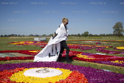 Mokry Dwór koło Pruszcza Gd.  Przygotowania do Żuławskiego...