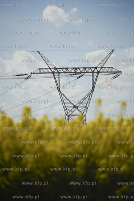 Linie wysokiego napięcia. 10.05.2020 fot. Paweł Marcinko...