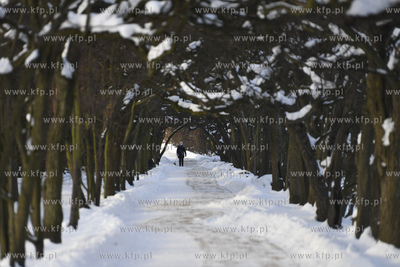 Park Oliwski zimą. 12.02.2021 fot. Paweł Marcinko...