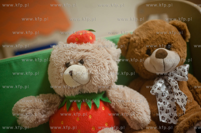 Gdansk. Zlobek nr 25. Swiatowy Dzien Pluszowego Misia.
25.11.2013
fot....