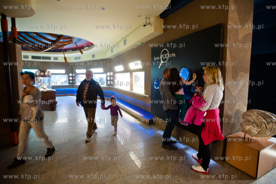 Akwarium Gdynskie Morskiego Instytutu Rybackiego -...