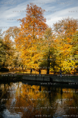 Gdansk. Jesienne, sloneczne przedpoludnie w Parku Orunskim.
27.10.2015
fot....