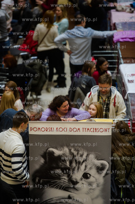 Gdansk. Wrzeszcz. Dzien Kota w CH Galeria Baltycka.
21.02.2016
fot....