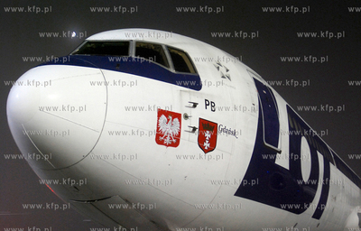 Port lotniczy im. Lecha Walesy w Gdansku Rebiechowie....