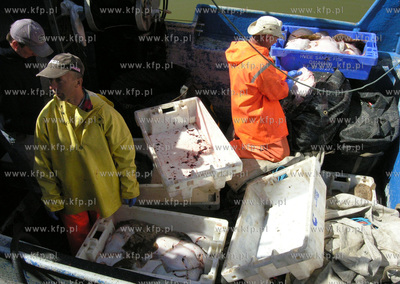 Port w Rowach. Nz rybacy sprzedaja ryby wprost z kutra.
02.05.2009
Fot....