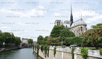 Paryz. Katedra Notre-Dame.
03.05.2009
fot. Pawel...