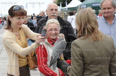 Plac Kuracyjny przy molo w Sopocie. Lesny Festyn Edukacyjny...